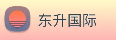 东升国际 logo